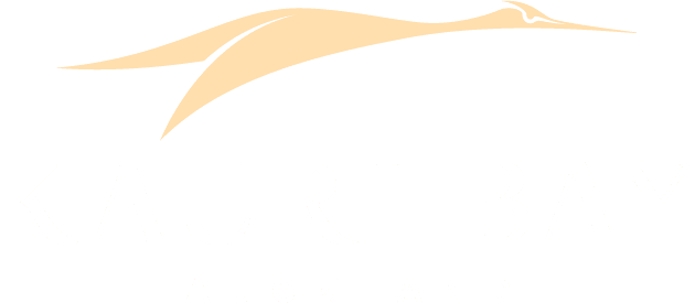 Kauri Bay Logo